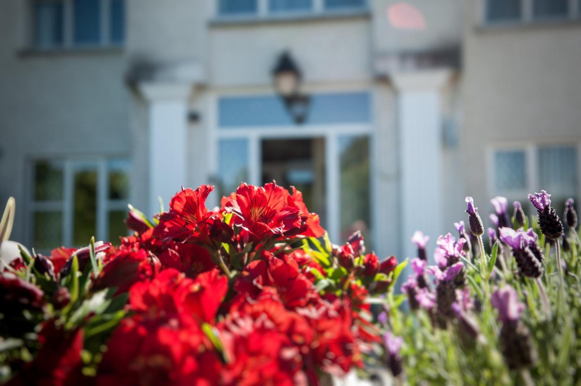 Grove House Bed & Breakfast Carlingford Exterior photo