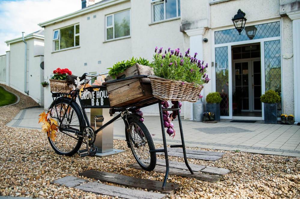 Grove House Bed & Breakfast Carlingford Exterior photo